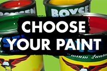 Choose Your Paint